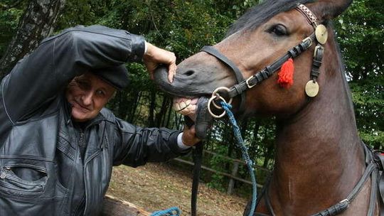 Jarmark Koński w Muzeum Wsi Lubelskiej