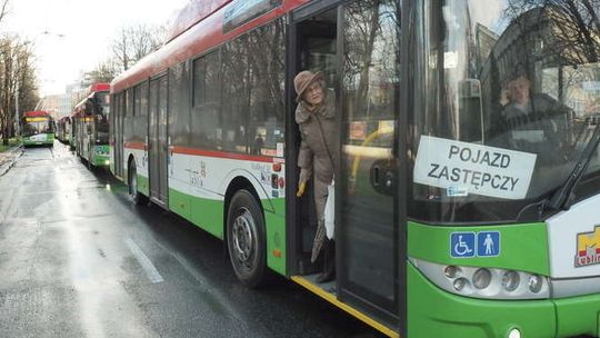 Lublin al. Racławickie: wichura przewróciła drzewo 