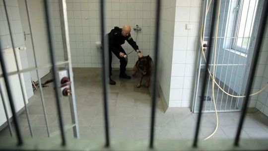 Psy policyjne w KWP w Lublinie