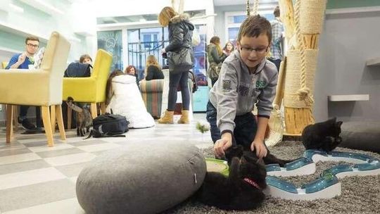 Otwarcie Mrau Cafe w Lublinie.