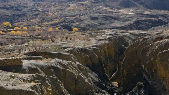 Szaround the world, czyli z Biłgoraja dookoła świata