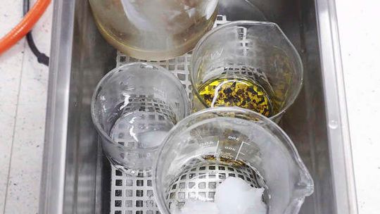 Noc biologów na UMCS