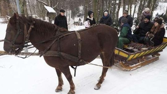 Ognisko i przejażdżki saniami w Muzeum Wsi Lubelskiej.