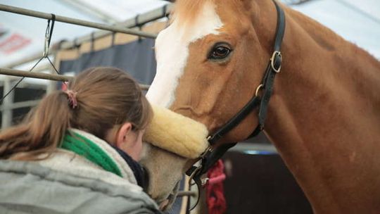 Cavaliada w Lublinie