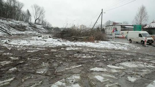 Wycinka drzew na skrzyżowaniu