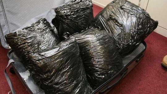 Walizka, a w środku 10 kilogramów konopi