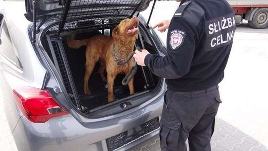 Szwajcarzy uszczelniają naszą wschodnią granicę