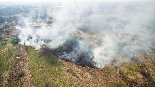 Pożar traw w okolicach Milejowa Pożar traw w okolicach Milejowa