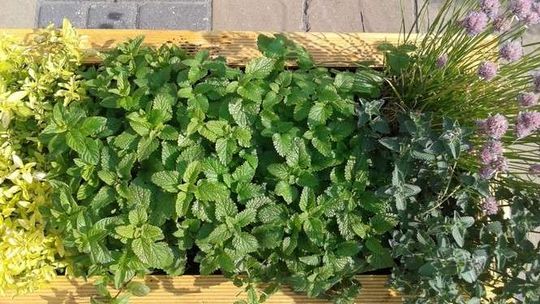 Meble przed Ratuszem