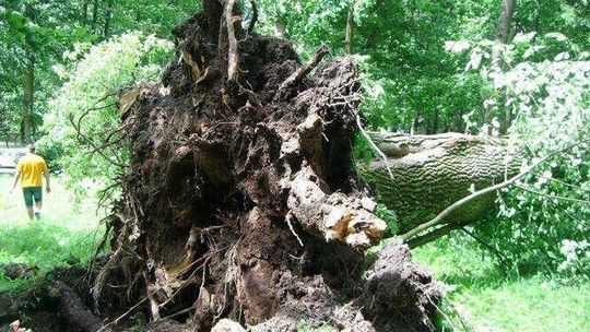 Wichura w Lublinie, burze w regionie