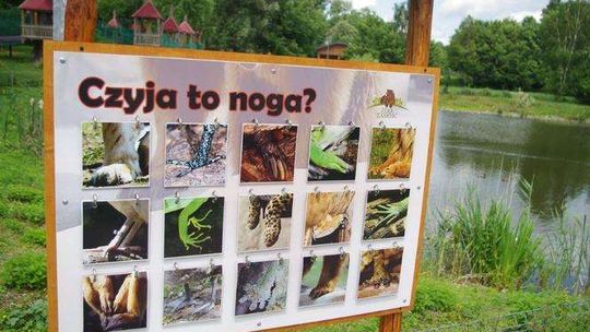 Nowe atrakcje w ZOO w Zamościu