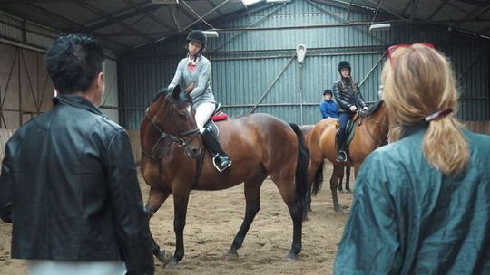 Egzamin praktyczny na kierunek hipologia i jeździectwo na Uniwersytecie Przyrodniczym 