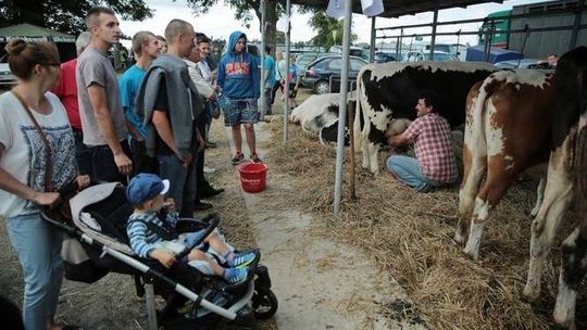 Wystawa Rolnicza w Sitnie