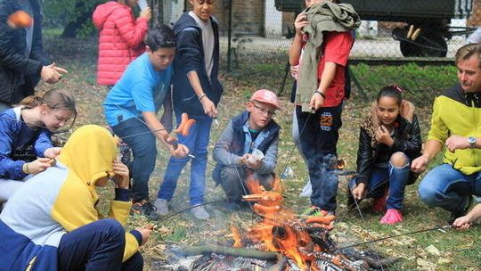 Sprzątanie w Puławach