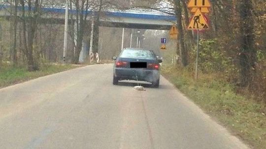 Odjechał z psem przywiązanym do haka