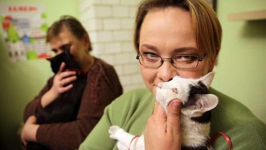 Mieszkanie Kultury Mieszkanie Kultury