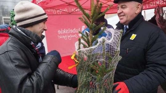 Kiermasz i choinki od marszałka Kiermasz i choinki od marszałka