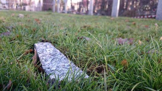 Ktoś zniszczył krzyże na cmentarzu wojennym w Lublinie