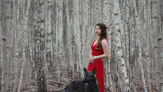 Kalendarz i sesja ze schroniskowymi psami