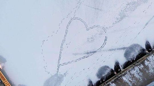 Zalew Zemborzycki skuty lodem