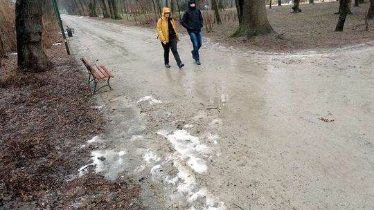 Alejki w Ogrodzie Saskim