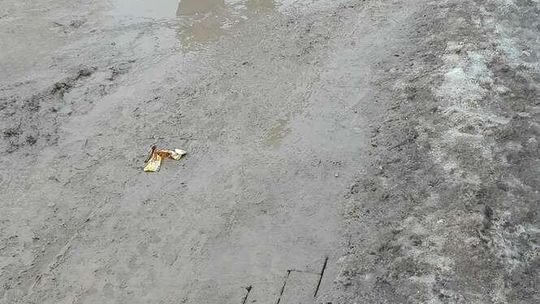 Błoto na chodniku przy ul. Nałęczowskiej