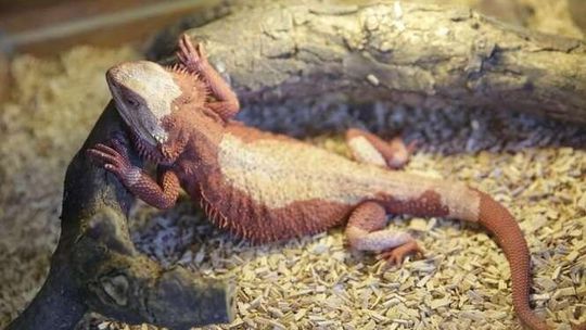 Zoopark Lublin 2017 Zoopark Lublin 2017