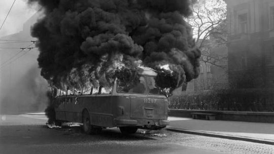 Zdjęcia Jacka Mirosława