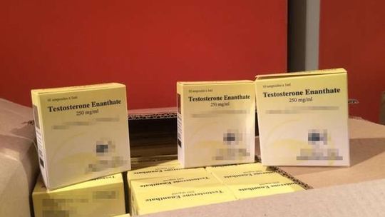 Gang handlował sterydami i środkami na potencję