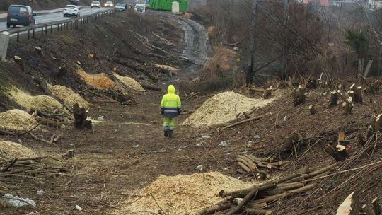 Wycinka drzew przy ul. Nałęczowskiej w Lublinie