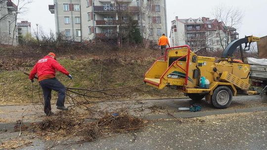 Ul. Sekutowicza: Wycinka drzew