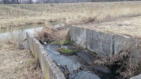 Radne o ciemnej cieczy, straż o czystej wodzie