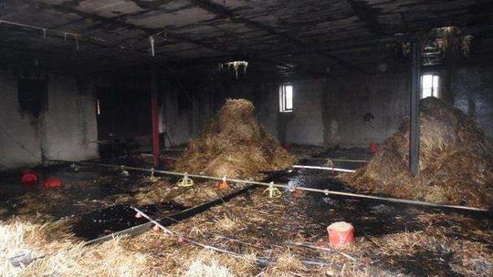 Pożar w Nowym Uścimowie