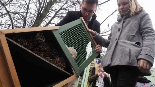 Zajęcia o pszczołach w SP nr 21 w Lublinie