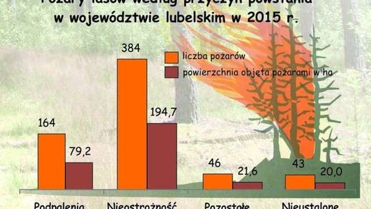 Lasy w województwie lubelskim