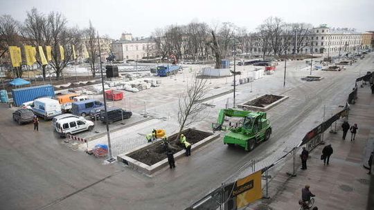Nowe drzewa na placu Litewskim