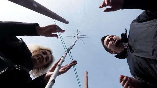 Politycy PO posadzili drzewa