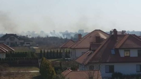 Pożar traw na górkach czechowskich