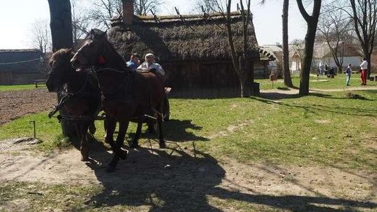 Orka w Muzeum Wsi Lubelskiej w Lublinie