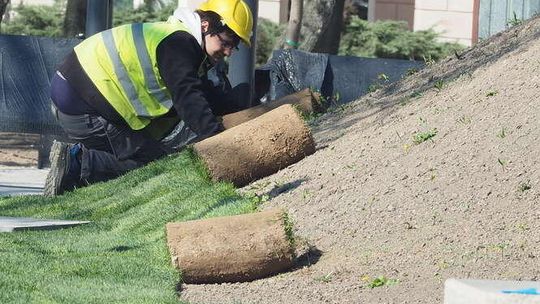 Przebudowa placu Litewskiego