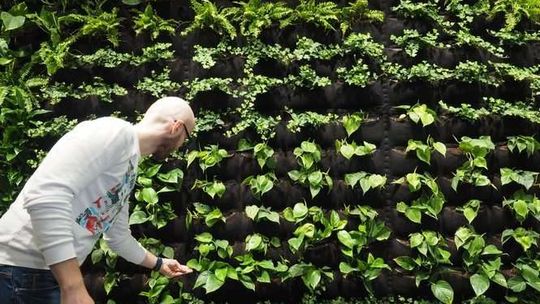 Nowe biuro firmy Billennium w Lublinie