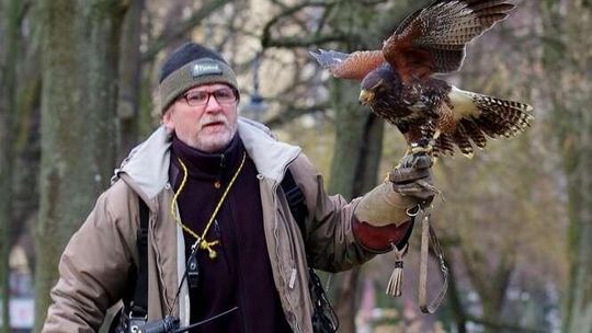 Sokolnicy na Skwerze Niepodległości w Puławach