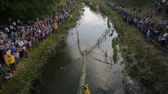 Wyścig kaczek 2017 w Lublinie