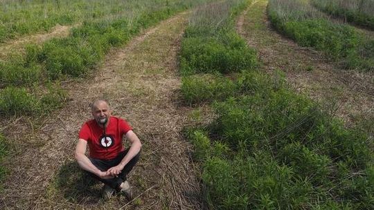 Land art Jarosława Koziary na górkach czechowskich