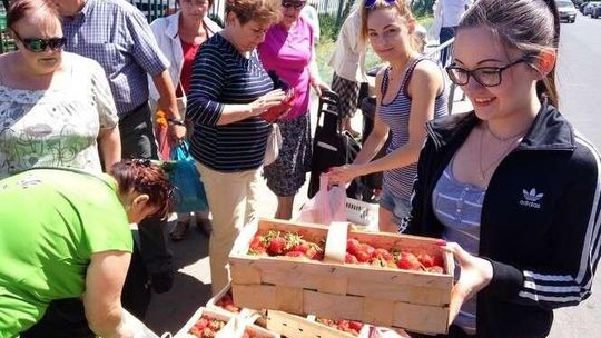 Ceny truskawek na targowiskach i straganach