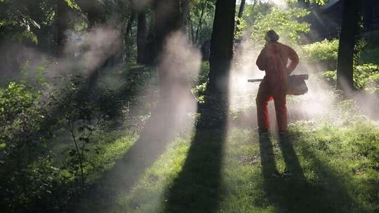 Odkomarzanie w Lublinie