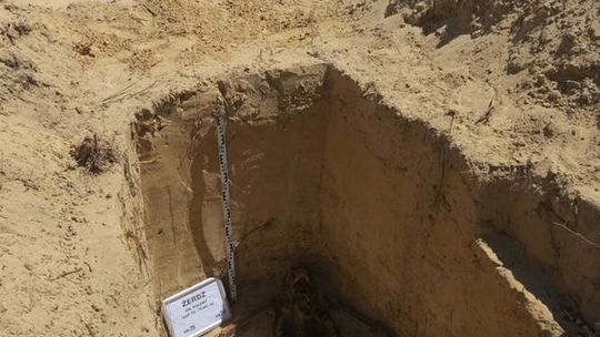 Budowa S17 Budowa S17