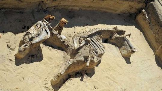 Prace archeologiczne na budowie S17