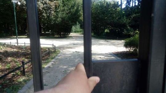 Ogród Saski po burzy