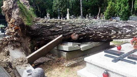 Zniszczenia na cmentarzu przy ulicy Lipowej w Lublinie Zniszczenia na cmentarzu przy ulicy Lipowej w Lublinie